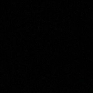 Meet your Posher, Taneisha